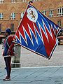 Flag bearer during a parade at the piazza del Campo