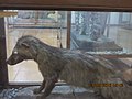 Thumbnail for File:Mongoose statue.jpeg