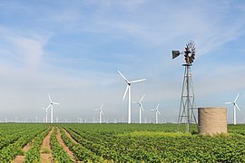 Roscoe Wind Farm