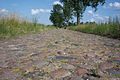 Cobblestoned road, Poland