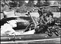 Roosevelt riding in a car with Fala