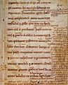 Gesta Danorum parchment page (13th century)