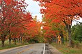 File:Fall colors on M-22 (22435890821).jpg