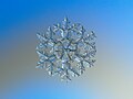 "Snowflake_macro_photography_1.jpg" by User:W.carter