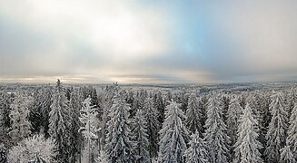 View from Suur Munamägi