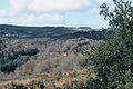 La vallée de la rivière Rivoal au niveau de Meilh-Pont-Glas