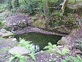 Fontaine proche de la rive gauche de l'anse de Penmor.