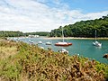 La ria du Bélon : vue vers l'amont depuis la pointe de Questélan (rive droite, côté Riec-sur-Bélon) 1.