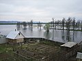 Русский: Паводок в устье Совца. Поселок Желнино (город Дзержинск Нижегородской области, Россия).