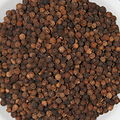 black pepper (Piper nigrum)