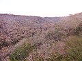 Quimper et Ergué-Gabéric : les gorges du Stangala sur l'Odet, le vallon boisé vu en hiver.