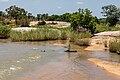 Kruger National Park (ZA), Sand River -- 2024 -- 0537