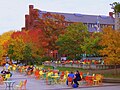 Red Gym from Memorial Union Terrace