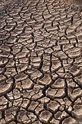 Dry earth in the Sonora desert, Mexico