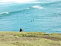 Français : Surfeurs près de la pointe de Lostmarc'h