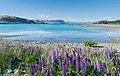 54 Lake Tekapo 01 uploaded by Tournasol7, nominated by Tournasol7