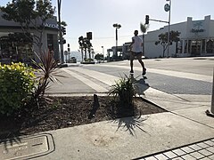 Manhattan Beach, California 31 2018-05-20.jpg