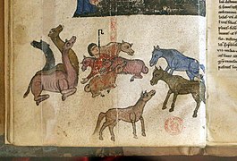 Italia centrale, biblia sacra con glosse (giobbe), 1175-1200 ca. pluteo 7 dex 11, 03 dromedari, cavalli, precore.jpg