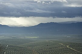 Sunlight on the hills (4261277242).jpg