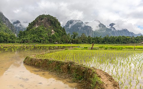 "Tortuous_dirt_road_in_wet_paddy_fields_and_green_hills_in_Vang_Vieng,_Laos.jpg" by User:Basile Morin