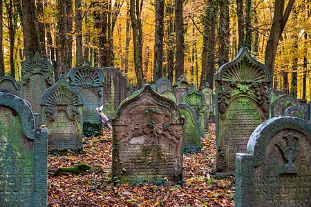 "Waibstadt_-_Jüdischer_Friedhof_-_ältester_Teil_-_Grabsteine_im_Herbstlaub.jpg" by User:Aristeas