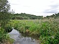 Le marais du Grand Loc'h (sentier de découverte de la réserve naturelle régionale des étangs du Petit et du Grand Loc'h) 1.