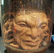 Face of Boe