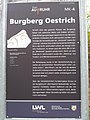 Infotafel über die Oestricher Burg