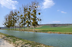 Canal de Bourgogne : entre Commissey et Tonnerre