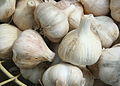 basket of garlic