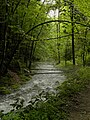 Trefflingbach im Naturpark Ötscher-Tormäuer