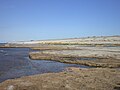 English: Coast in Öland, Sweden