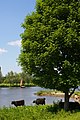 Rhine near Arnhem Meinerswijk