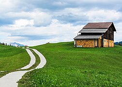 Barn with firewood in Tenna, Switzerland