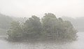 Image 81An island (with ospreys) in Trustom Pond in the fog