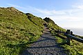 11 Point Reyes Lighthouse Trail December 2016 017 uploaded by King of Hearts, nominated by King of Hearts,  10,  4,  0