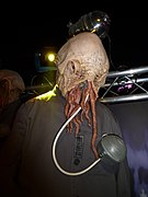 Ood