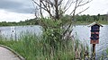 Schwenninger Moos, bog pond on the European Watershed