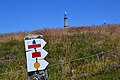 Different route markings on the GR5 at the Ballon d'Alsace