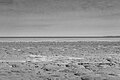 Uitzicht op de Waddenzee achter de zeedijk bij Paesens-Moddergat richting Schiermonnikoog