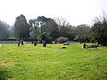 Gorsedd stones above Romilly Park