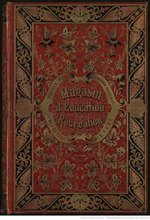Thumbnail for File:Hetzel - Verne - Magasin d’Éducation et de Récréation, 1903, tomes 17 et 18.djvu