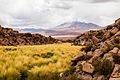 "Cerro_Aucanquilcha,_Chile,_2016-02-10,_DD_15.JPG" by User:Poco a poco