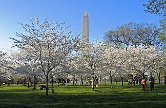 Washington Monument