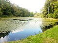 Le château de Trohanet : le deuxième étang situé plus en amont