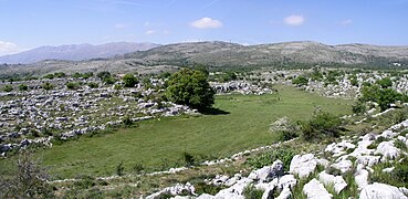 Grande doline Plateau de Saint Barnabe 35-36mod.jpg