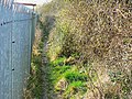 Footpath north of Wootton Bassett station site