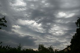 Stratocumulus lacunosus clouds