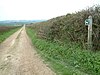 Bridleway, Dorset - geograph.org.uk - 156273.jpg