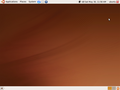 Ubuntu 8.10 (Intrepid Ibex) without default icons